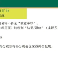  意甲新规引争议，VAR判定标准遭炮轰  